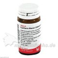 Cantharis Blasen Globuli velati, 20 G – PZN 81234 из Германии (PZN 81234)