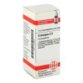 Crataegus D 3 Globuli (10 g) – PZN 1767956 из Германии (PZN 1767956)