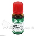 ACONITUM ARCA LM 6, 10 ML – PZN 2600218 из Германии (PZN 2600218)