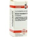 KALIUM BROMATUM C 6, 10 G – PZN 7457530 из Германии (PZN 7457530)