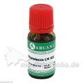 PHYTOLACCA ARCA LM 12, 10 ML – PZN 2603292 из Германии (PZN 2603292)