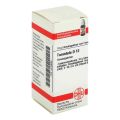 Tarantula D 12 Globuli (10 g) – PZN 4239695 из Германии (PZN 4239695)