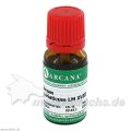 AURUM MURIAT ARCA LM 18, 10 ML – PZN 3503693 из Германии (PZN 3503693)