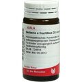 BERBERIS E FRUCTIBUS D 3, 20 G – PZN 8784395 из Германии (PZN 8784395)