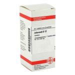 Jaborandi D 12 Tabletten (80 stk) из Германии (PZN 7170656)
