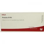 Prostata Gl D 5 Ampullen (10X1 ml) из Германии (PZN 3354483)