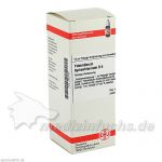 YOHIMBINUM HYDROCHLORICUM D 4 Dilution, 50 ML из Германии (PZN 2933782)