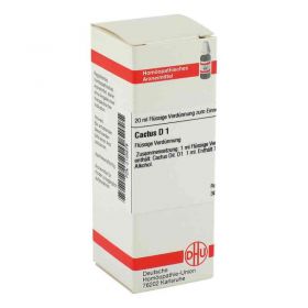 Cactus D 1 Dilution (20 ml) – PZN 2125579 из Германии (PZN 2125579)