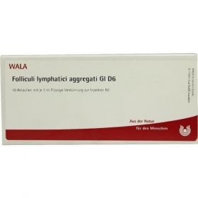 FOLLICULI LYMPH AGG GL D 6, 10X1 ML – PZN 2876400 из Германии (PZN 2876400)