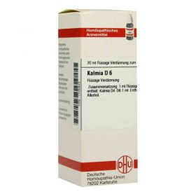 Kalmia D 6 Dilution (20 ml) – PZN 1775832 из Германии (PZN 1775832)