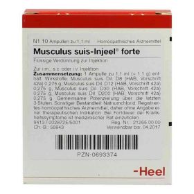 Musculus suis Injeel forte Ampullen (10 stk) – PZN 693374 из Германии (PZN 693374)