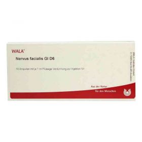 Nervus Facialis Gl D 6 Ampullen (10X1 ml) – PZN 3355755 из Германии (PZN 3355755)