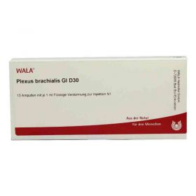 Plexus Brachialis Gl D 30 Ampullen (10X1 ml) – PZN 3355100 из Германии (PZN 3355100)