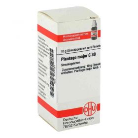 Plantago Major C 30 Globuli (10 g) – PZN 7177434 из Германии (PZN 7177434)