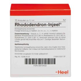 Rhododendron Injeel Ampullen (10 stk) – PZN 875402 из Германии (PZN 875402)
