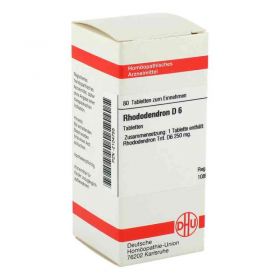 Rhododendron D 6 Tabletten (80 stk) – PZN 2104755 из Германии (PZN 2104755)