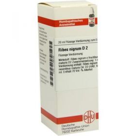 Ribes Nigrum D 2 Dilution (20 ml) – PZN 7179048 из Германии (PZN 7179048)