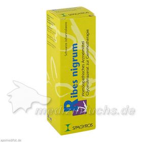 RIBES NIGRUM D 1 Glycerinmazerat Mundspray, 30 ML – PZN 928191 из Германии (PZN 928191)