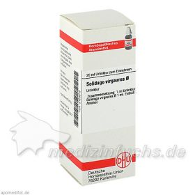 SOLIDAGO VIRGA URT, 20 ML – PZN 2123215 из Германии (PZN 2123215)