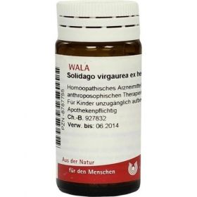 SOLIDAGO VIRGA EX HERB D 3, 20 G – PZN 8787755 из Германии (PZN 8787755)