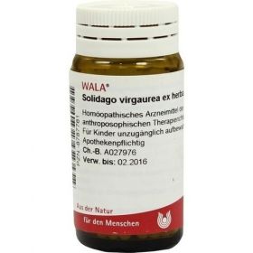 SOLIDAGO VIRGA EX HERB D 4, 20 G – PZN 8787761 из Германии (PZN 8787761)