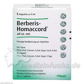 BERBERIS HOMACCORD ad us.vet.Ampullen, 5X5 ML – PZN 3042447 из Германии (PZN 3042447)