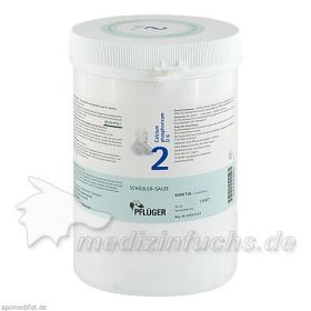 Biochemie Pflüger Nr. 2 Calcium phosphoricum D 6, 4000 ST – PZN 6318803 из Германии (PZN 6318803)